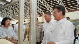 Mentan Amran Sulaiman ungkap dugaan mafia beras