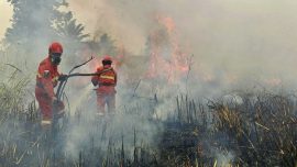 Kebakaran hutan dan lahan di Indonesia yang menimbulkan kerugian ekonomi dan kabut asap pada 2026